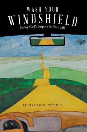 Cover of the book Wash Your Windshield by Jamie Harvill