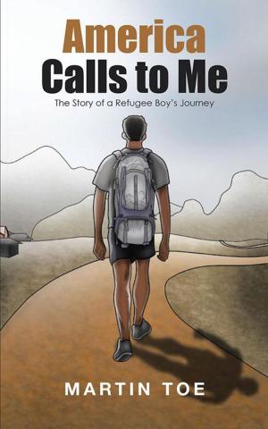 Cover of the book America Calls to Me by Eric Stratton