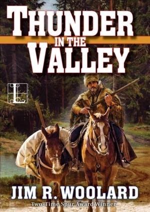 Cover of the book Thunder in the Valley by Peggy Jaeger