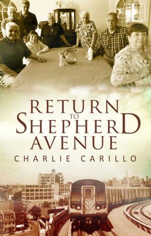 Book cover of Return to Shepherd Avenue