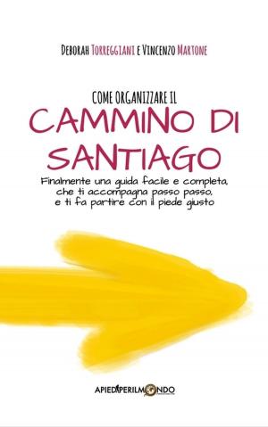 Cover of the book Come organizzare il Cammino di Santiago by Anne Kennedy
