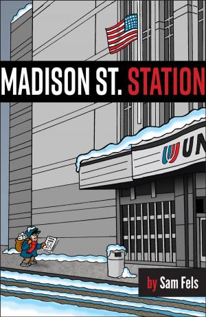 Cover of the book Madison St. Station by Stuart Box