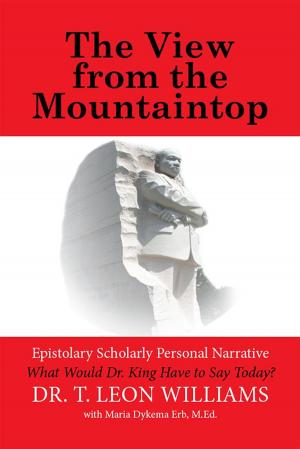 Cover of the book The View from the Mountaintop by J. P. Kurzitza