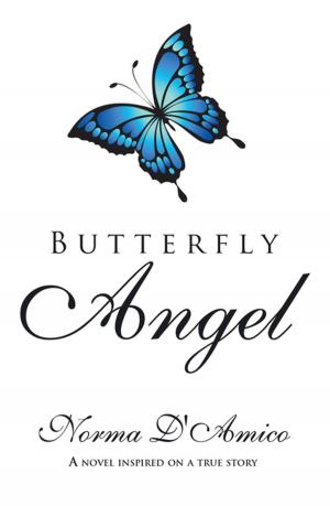 Book cover of Butterfly Angel
