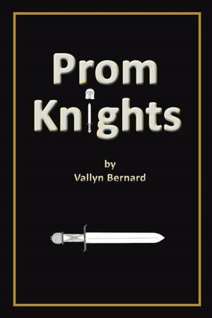 bigCover of the book Prom Knights by 