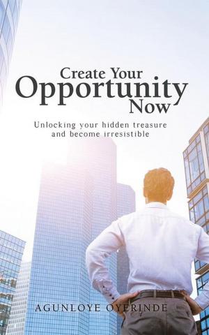 Cover of the book Create Your Opportunity Now by Robert Seybold