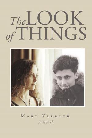 Cover of the book The Look of Things by Willow Madison