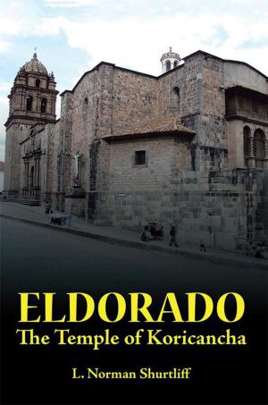 Cover of the book Eldorado by Vanessa Rayner