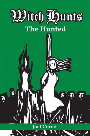 Cover of the book Witch Hunts by Lady Canaday