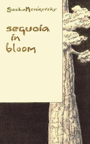 Cover of the book Sequoia in Bloom by P. A. Cooks