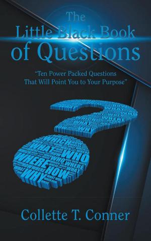 Cover of the book The Little Black Book of Questions by Jennifer Wallis