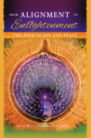 bigCover of the book From Alignment to Enlightenment by 