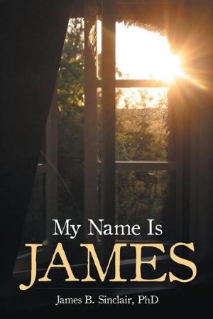Cover of the book My Name Is James by Sonya Badger