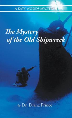 Book cover of The Mystery of the Old Shipwreck