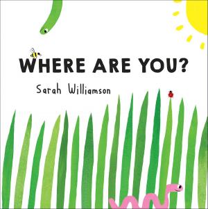 Cover of the book Where Are You? by Kalman Chany, The Princeton Review