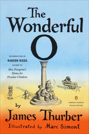 Cover of the book The Wonderful O by Matteo Pericoli, Lorin Stein