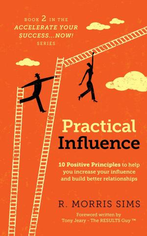Cover of the book Practical Influence by Elaine Yin-Tantouri