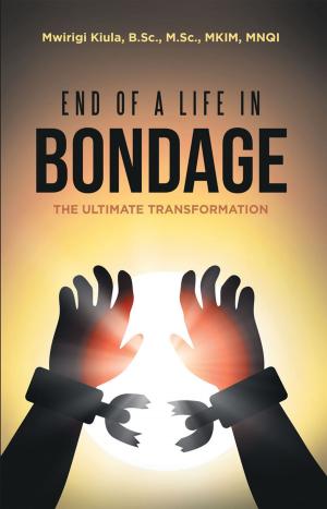 Cover of the book End of a Life in Bondage by Dr. Arthur C. Ellison  PH.D. MPH, Dr. Jeanette A. Bevilacqua ARNP ED. D