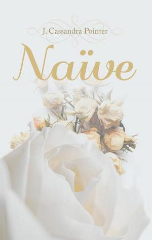 Cover of the book Naïve by 谷函真