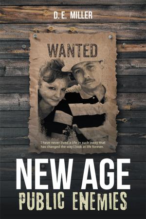 Cover of the book New Age Public Enemies by Stephen Hunt