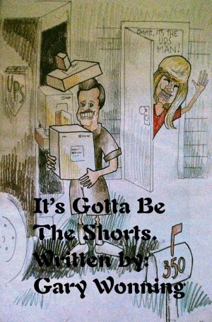 Book cover of It's Gotta be The Shorts