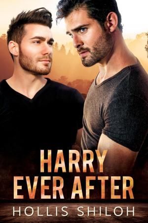 Book cover of Harry Ever After