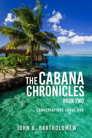 Book cover of The Cabana Chronicles Book Two Conversations About God
