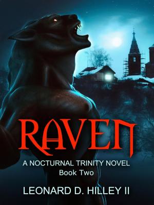 Cover of the book Raven by Malcolm Mejin