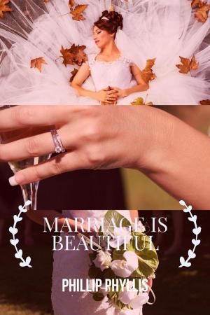 Book cover of Marriage is Beautiful