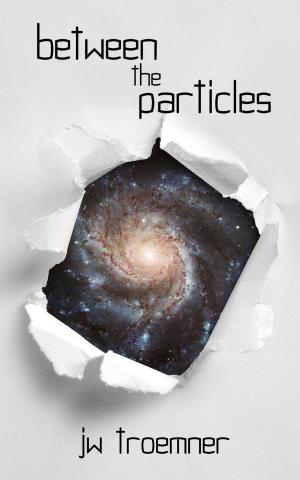 Cover of the book Between the Particles by Sarah L. Mills
