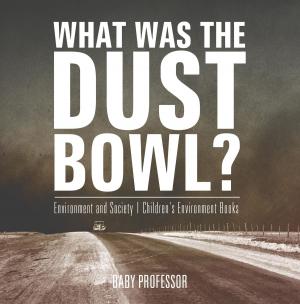 Book cover of What Was The Dust Bowl? Environment and Society | Children's Environment Books