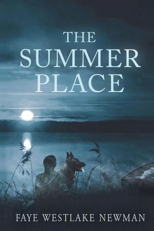 Cover of the book The Summer Place by Louise Chave