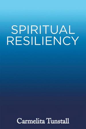 Cover of the book Spiritual Resiliency by Elizabeth McNeill Leicester