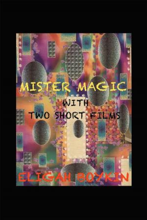 Cover of the book Mister Magic by Jordan Zlotolow