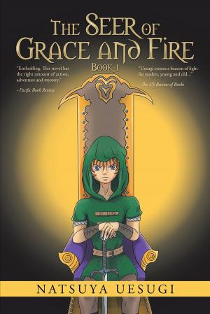 Cover of the book The Seer of Grace and Fire by Bette Jo Benner