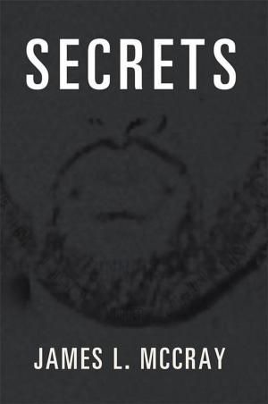 Cover of the book Secrets by Rabbi Daniel Kohn