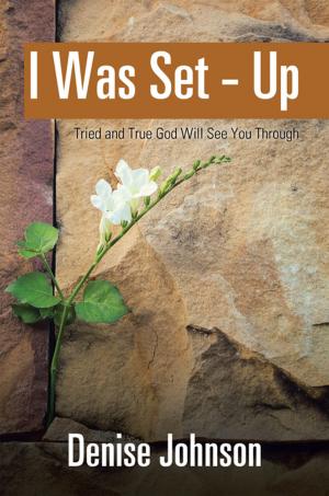 Book cover of I Was Set - Up