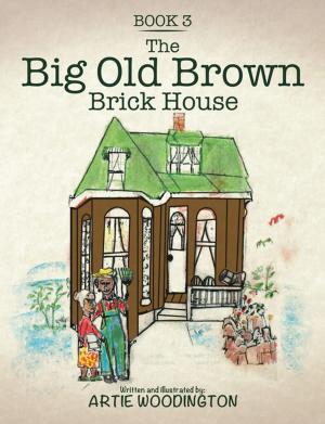 Cover of the book The Big Old Brown Brick House by Hazel Edwards