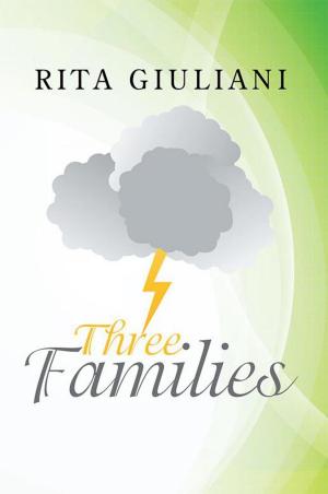 Cover of the book Three Families by Mary-Jane Deeb