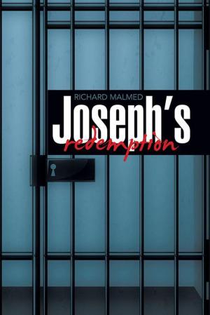 Cover of the book Joseph’S Redemption by Steven Taga Mapepa