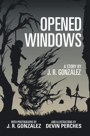 bigCover of the book Opened Windows by 