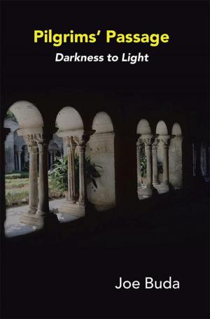Cover of the book Pilgrims Passage by Eva Fischer-Dixon