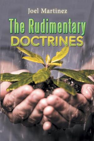 Cover of the book The Rudimentary Doctrines by Stephen Orndorf