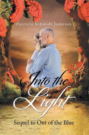 Cover of the book Into the Light by Lana Petelis