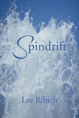Cover of the book Spindrift by Bonnie Mutchler