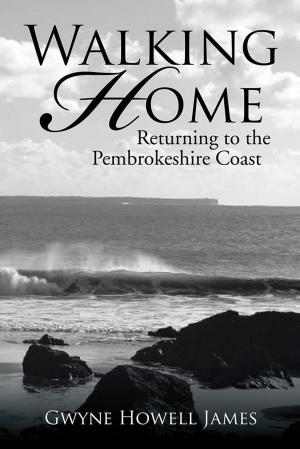 Cover of the book Walking Home by Rosalind James