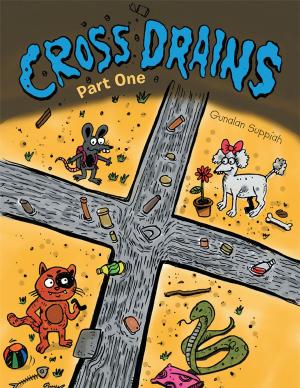 Cover of the book Crossdrains by Paul Mukendi