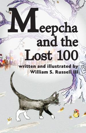 Cover of the book Meepcha and the Lost 100 by Byron K. Hill.Sr.