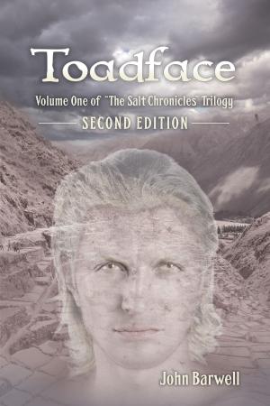 Cover of the book Toadface by Tom Dillon
