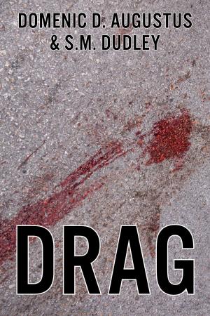 Cover of the book Drag by Patrick Morelli